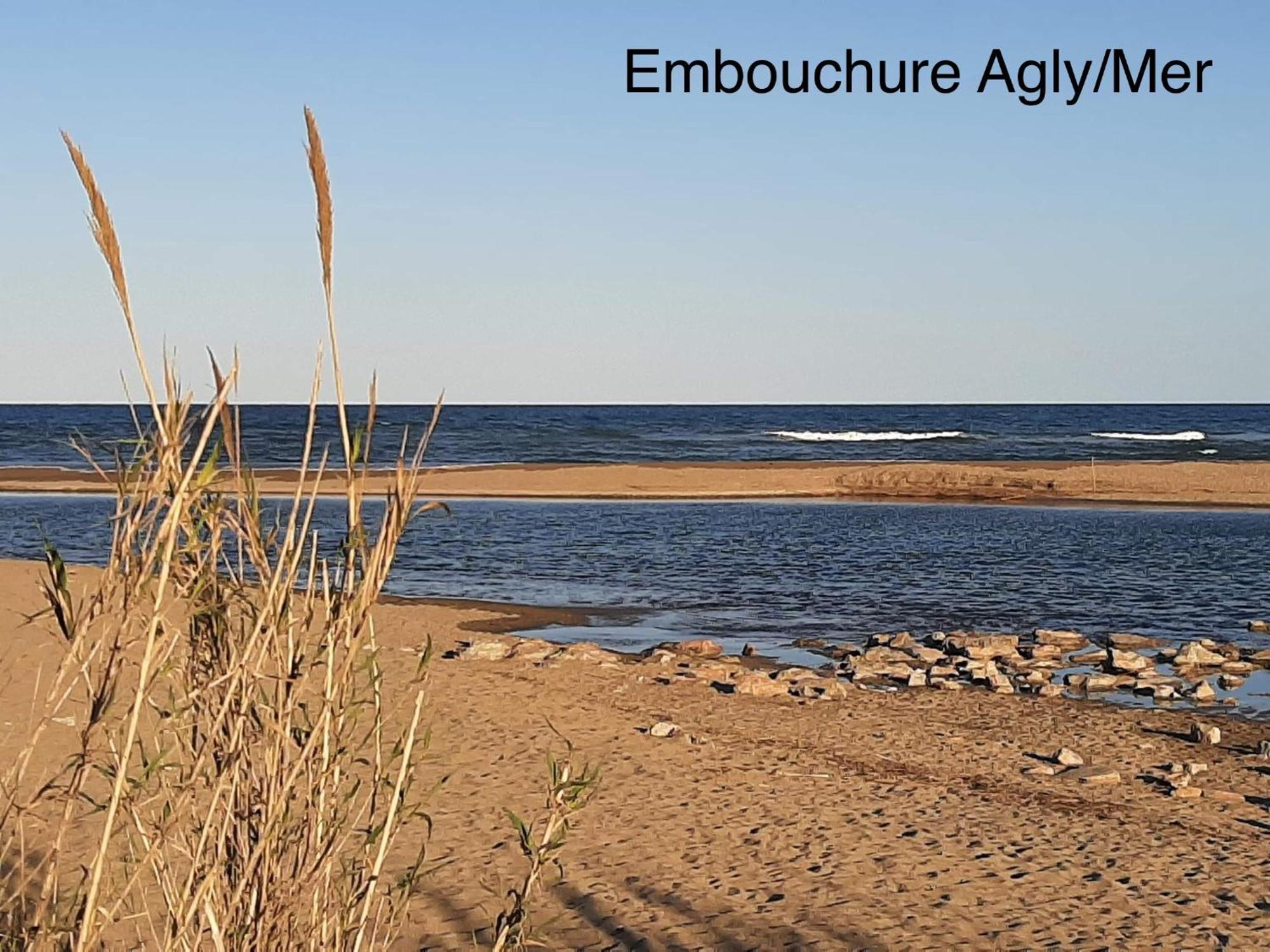 Logement Entier, Calme, Hyper Equipe Saint-Laurent-de-la-Salanque Exterior foto